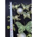 Stunning Heavy Glitter Christmas Ornament Lot Dragonflies & Butterflies -CH1
