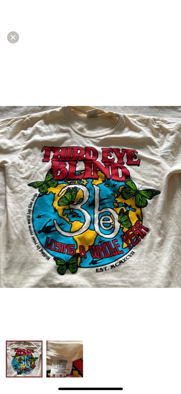 ISO Third eye blind losing a whole year or how’s it going to be shirt