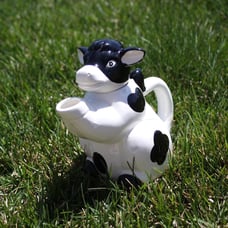 ceramic cow tea pot / pitcher