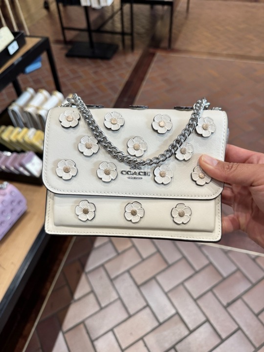 NWT Coach CAK00 Mini Klare Crossbody Bag With Floral Applique (Silver/Chalk)