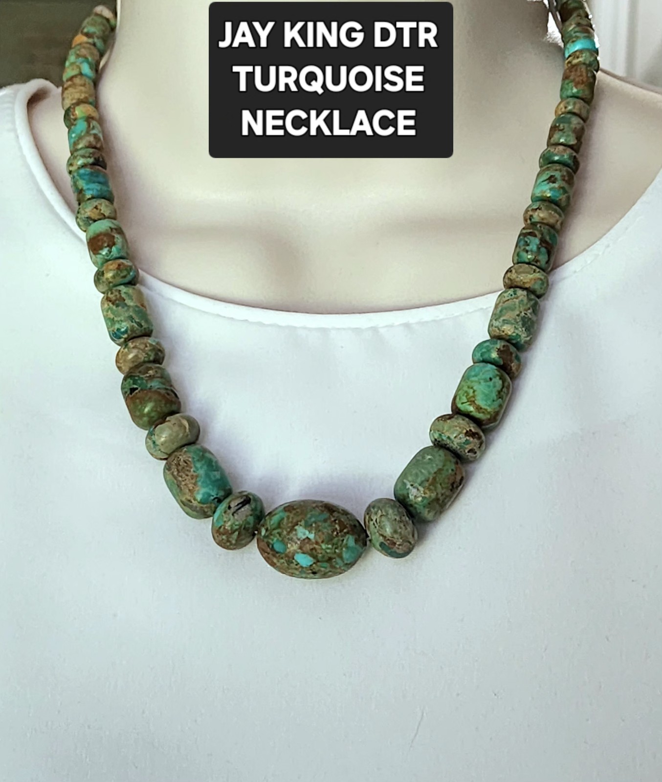 Jay King DTR Turquoise Necklace