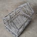 Wire cage plant terrarium