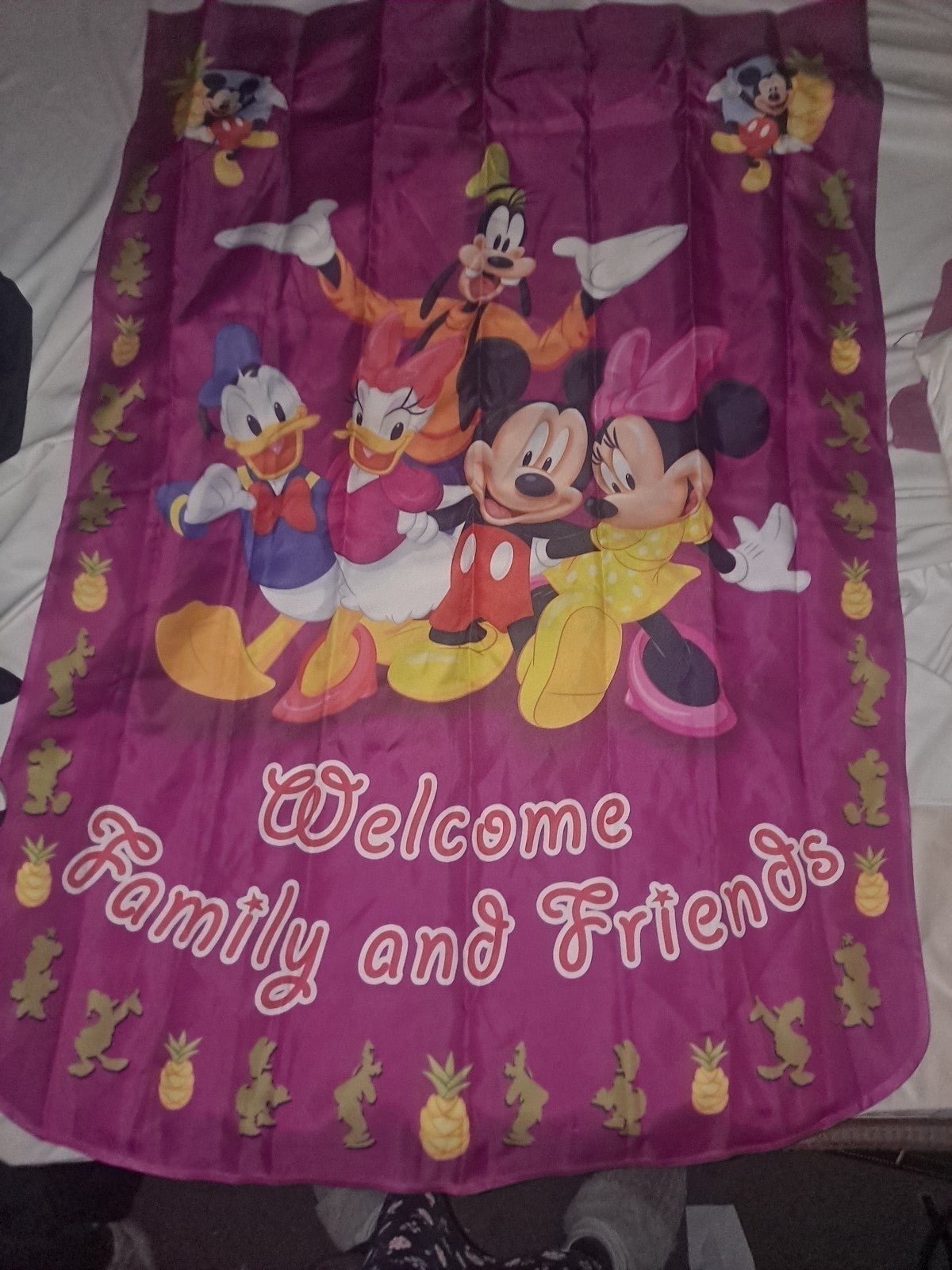 (10) Mickey & Friends Flags