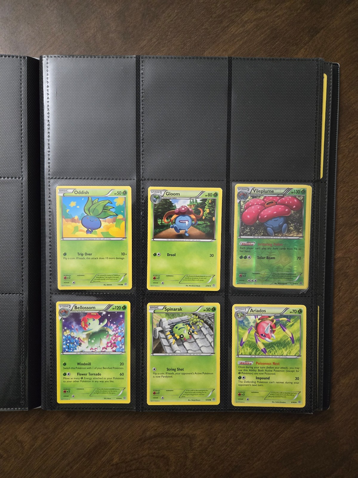 Pokemon Ancient Origins collection