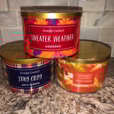 Lot of Three Bramd New Autumn Fall Scented Yankee Candles Apple Pumpkin Ciderhou