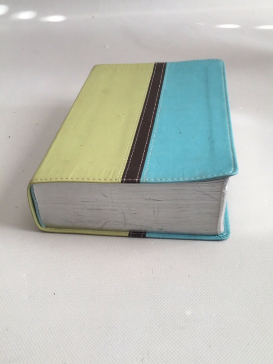 Zondervan Holy Bible New International