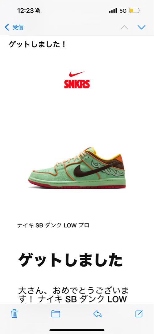 Nike SB Dunk Low Pro Tourmaline size 27cm