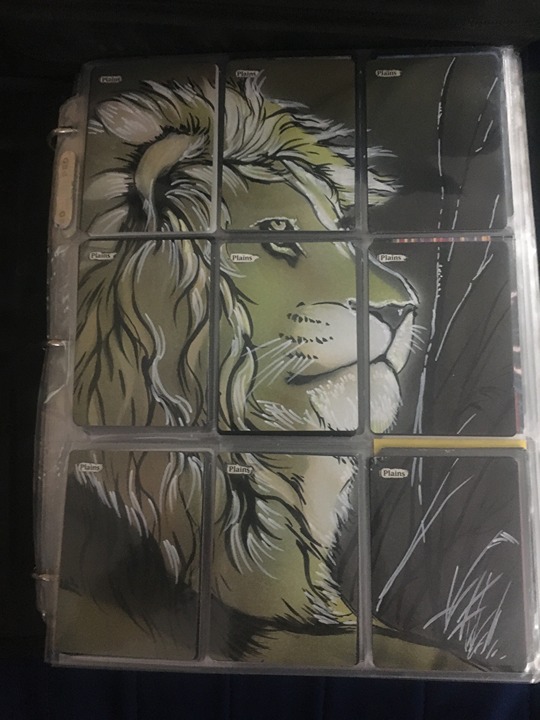 MTG MAGIC THE GATHERING ALTERED ART CARDS LION ON PLAINS CARDS X9 CARDS SET