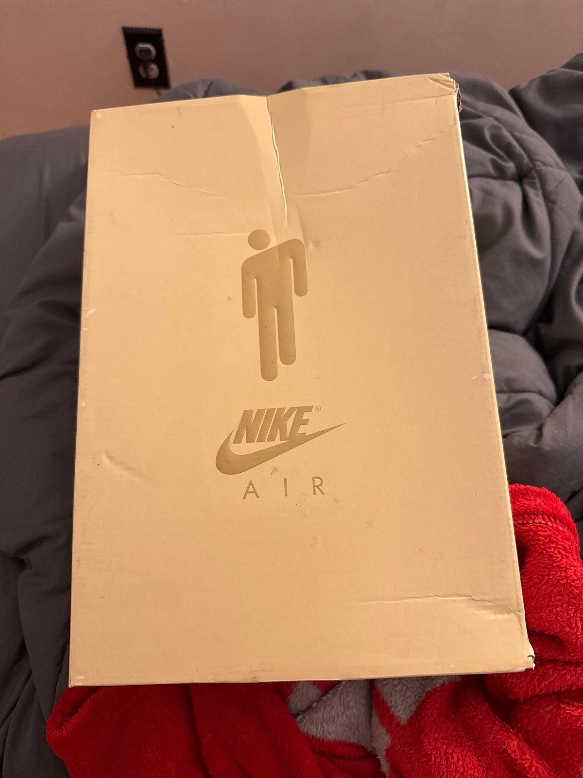 Billie Eilish Air Force 1s
