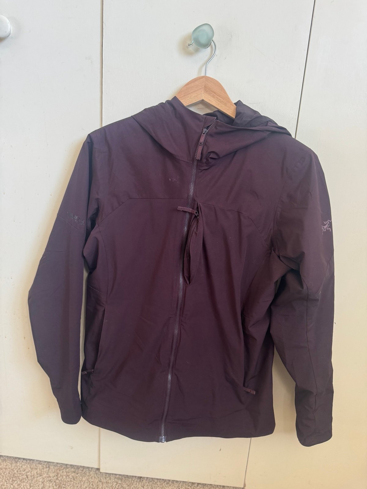 Arcteryx Proton Insulated Hoodie