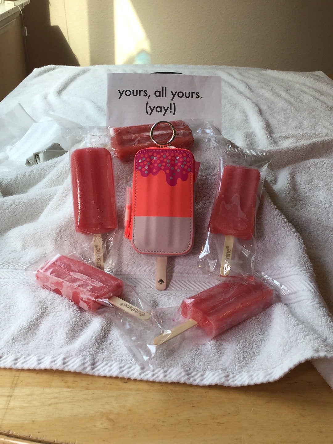 KATE SPADE PICNIC ICE POP COIN PURSE