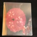 Japanese Geisha Doll in Plastic Case (New)