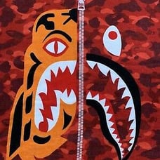 A BATHING APE Bape Half Tiger RED Camo