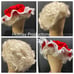 Deluxe Mrs Claus Costume Wig Parades Photos With Santa New Theater Christmas