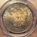 1884-O PCGS MS62 Morgan Silver Dollar