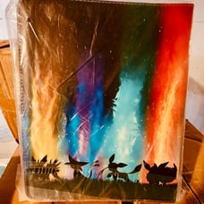 Eevee Evolutions 9 Pocket Card Binder