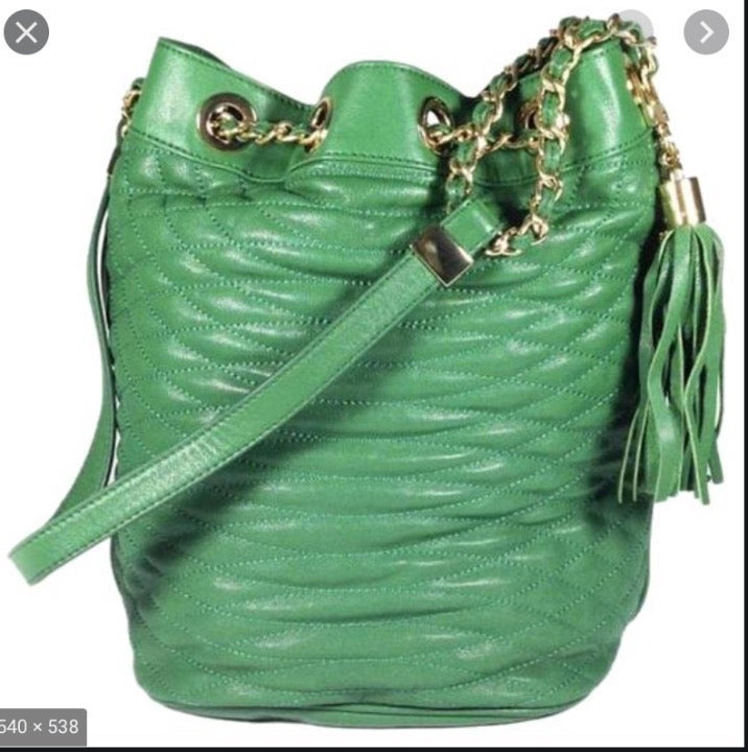 BCBG Max Azria Green Leather Bucket Bag - Brand New w/tags