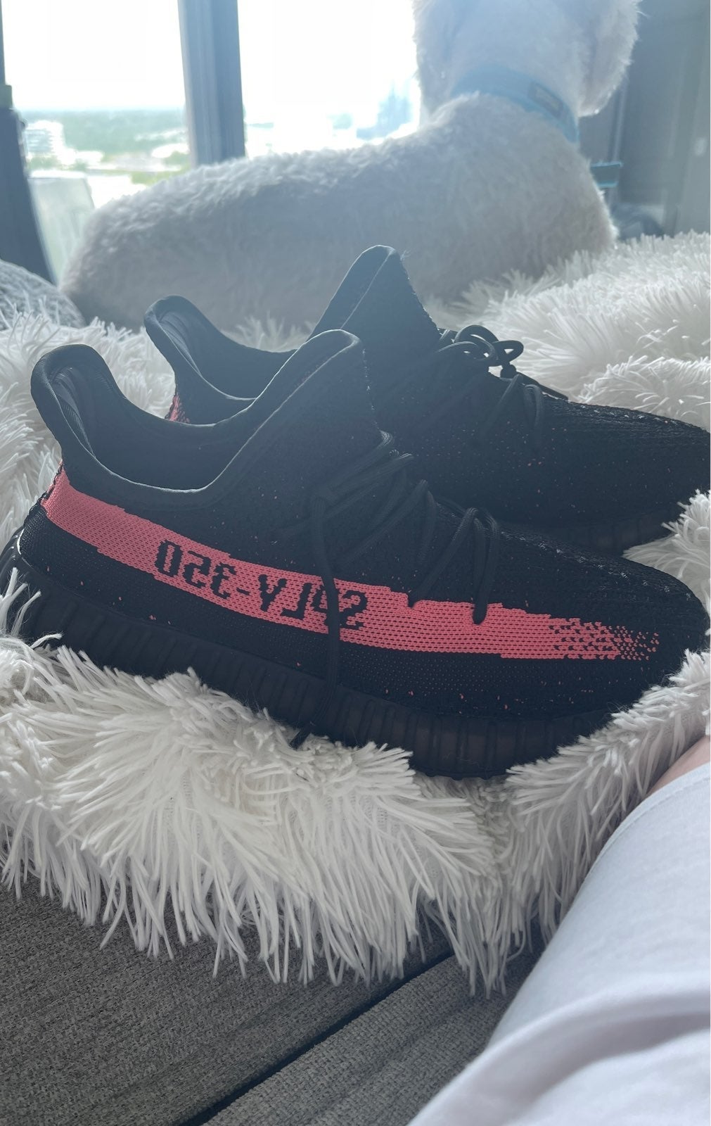 Adidas Yeezy boost 350 v2