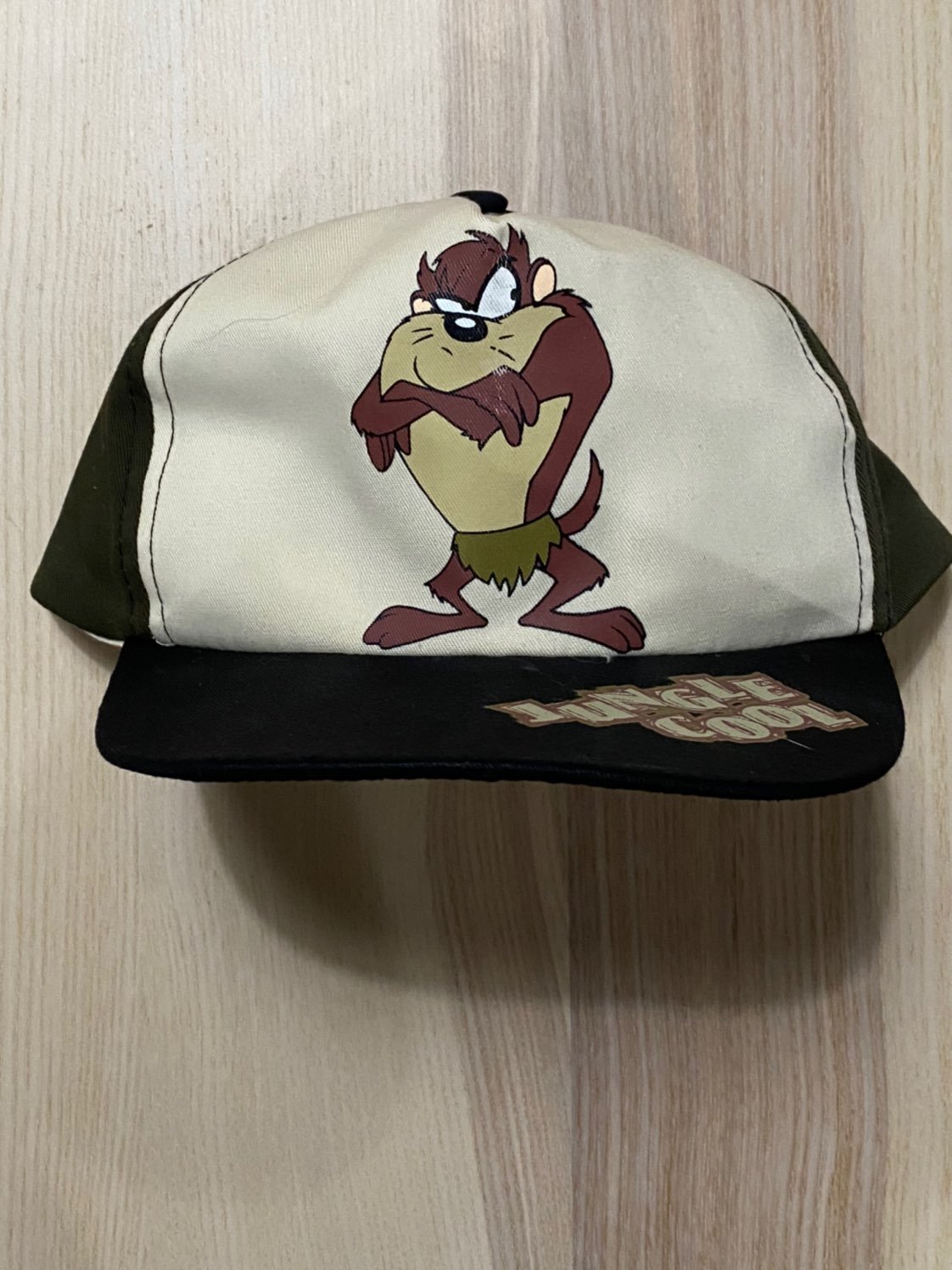 Vintage 1994 Looney Tunes Taz Snapback