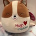 10” Squishmallow “Regina the Corgi Dog” Valentines Hugs & Squishes