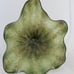Beautiful Hand Blown Glass Art Wall Platter Bowl 2476 olive tan