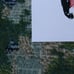 Reina Koyano ‘How Many Sneakers You Got?’ Print - Sole Fatale Drop