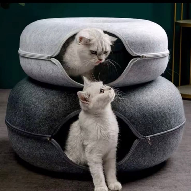 Cat Donut Tunnel