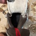 Bauer Vapor Roller blades for Junior hockey. *FREE SHIPPING*