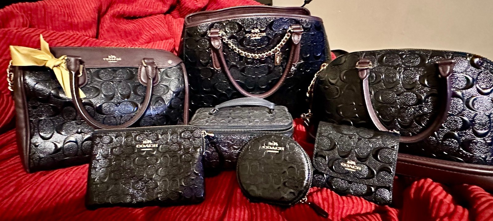 Coach embossed leather handbags