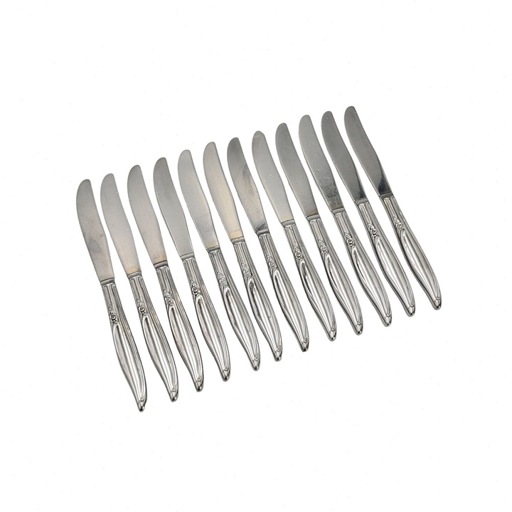 Oneida Kenwood Forever Rose Set of 12 8.5 Butter Knife Flatware Service for 12