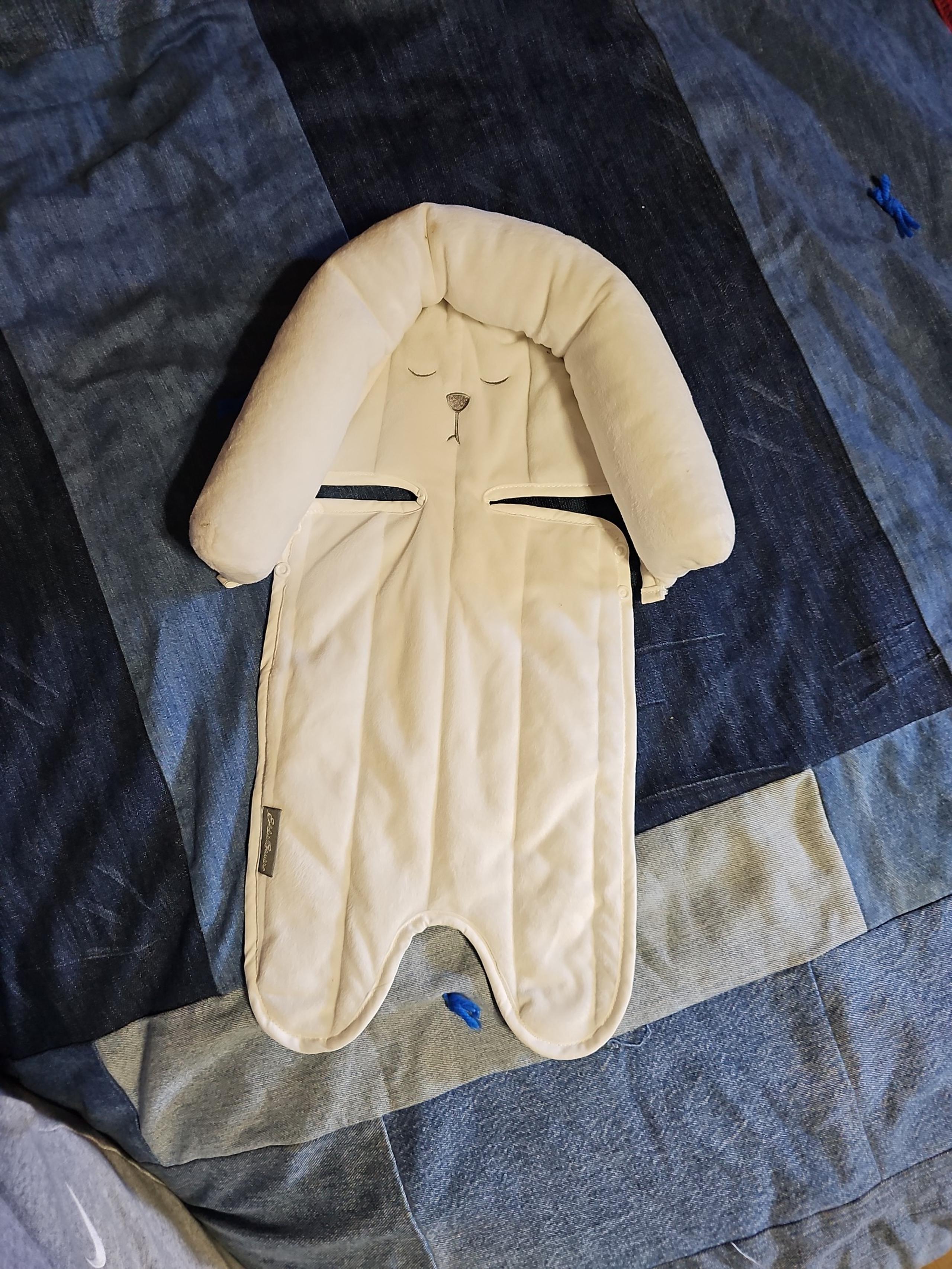 Carseat insert