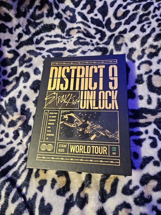 STRAYKIDS DISTRICT 9 UNLOCK WORLD TOUR
