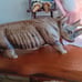 Hand carved wood rhinoceros