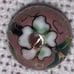 Japanese cloisonné Ojime Bead C-19