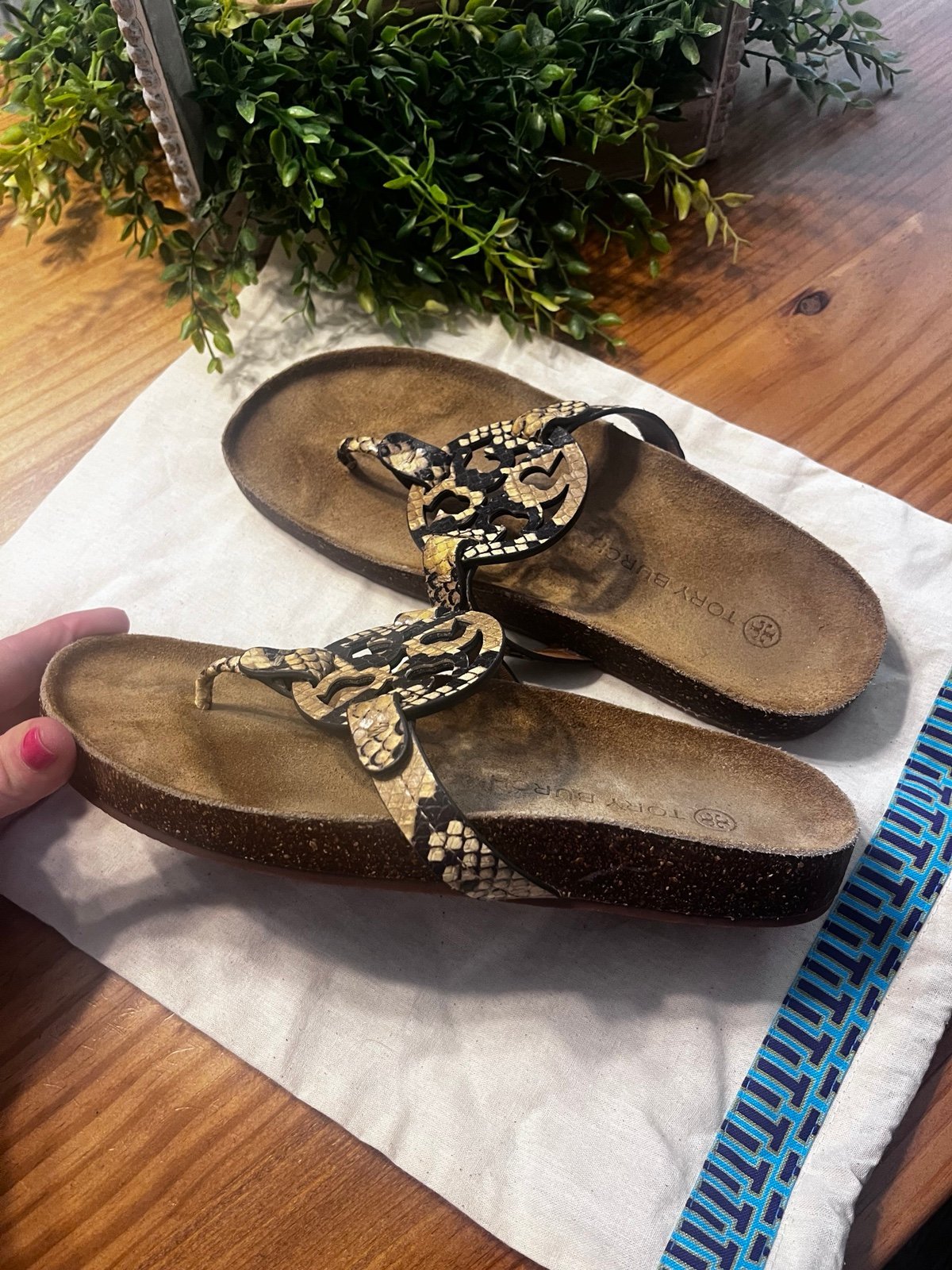 Tory Burch miller cloud