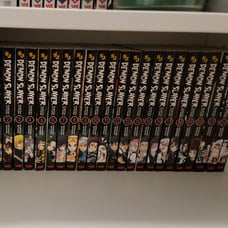 Demon Slayer Manga