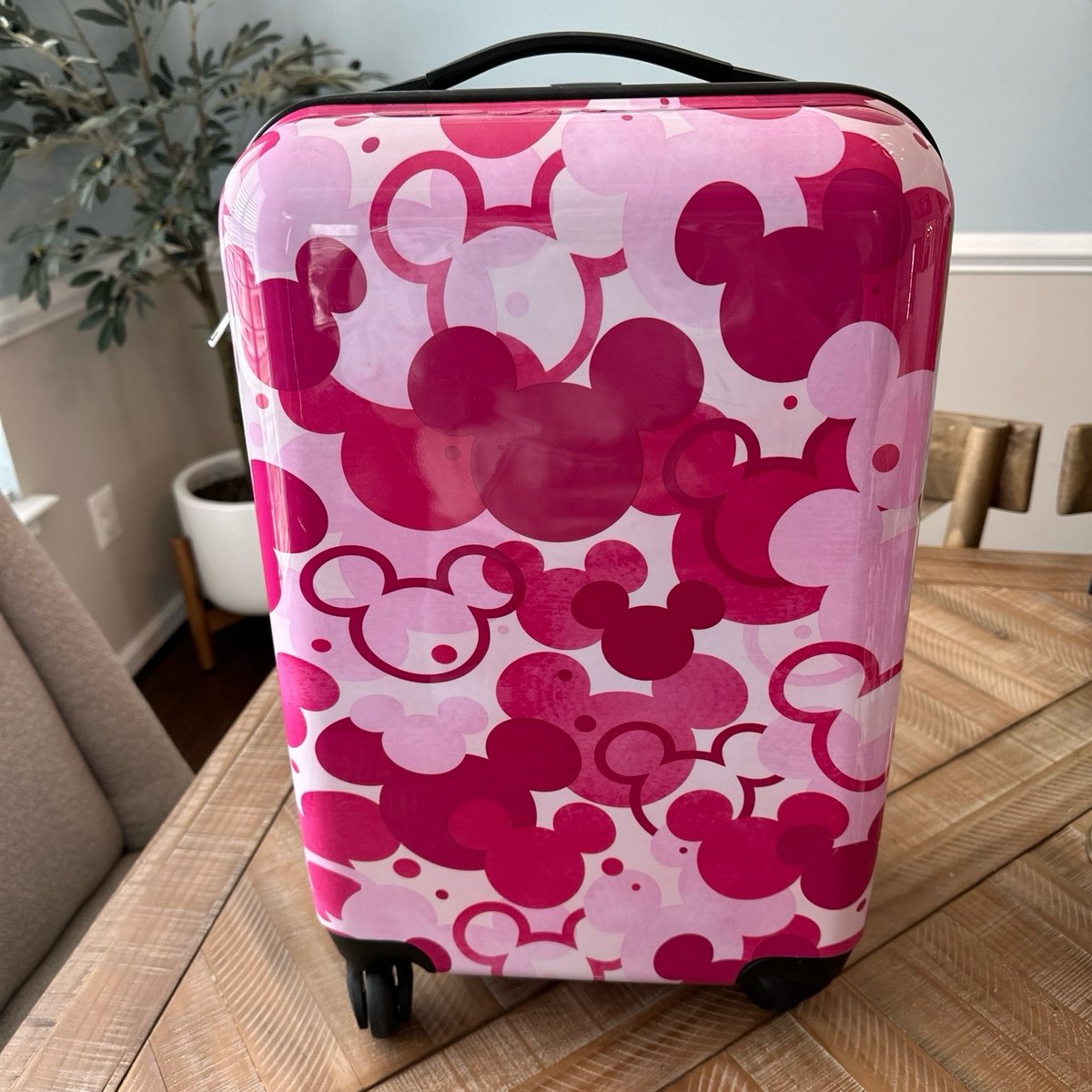 mickey mouse carry on bag
