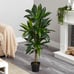 48 Dracaena Silk Plant (Real Touch) Green
