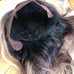 22” BROWN BLONDE OMBRE LACE FRONT WIG