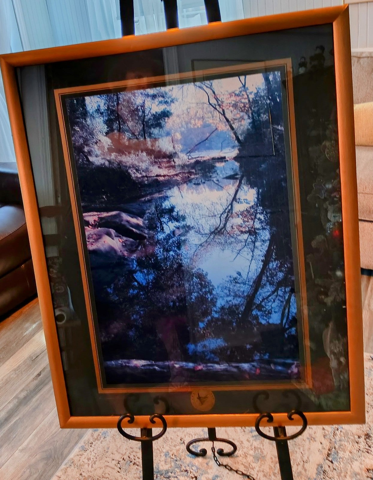 large framed photo titled Congaree Reflections.