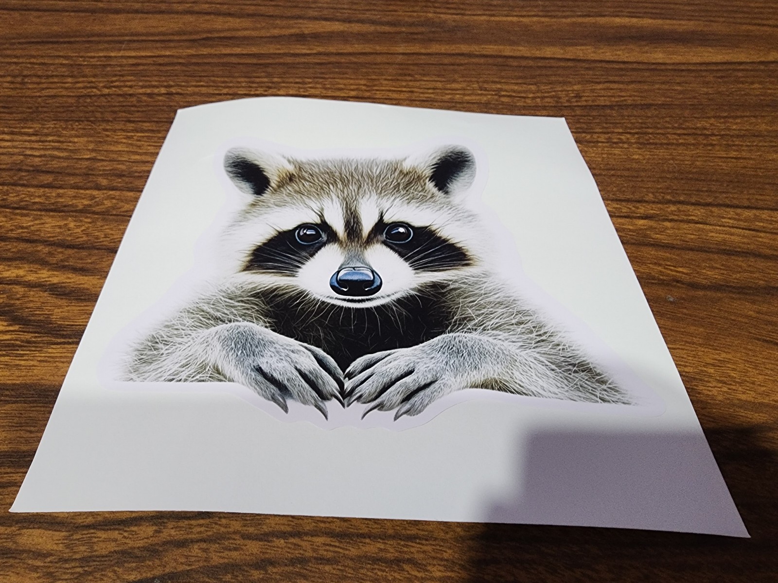 Large Racoon Sticker