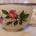 Superior Hall Quality dinnerware set