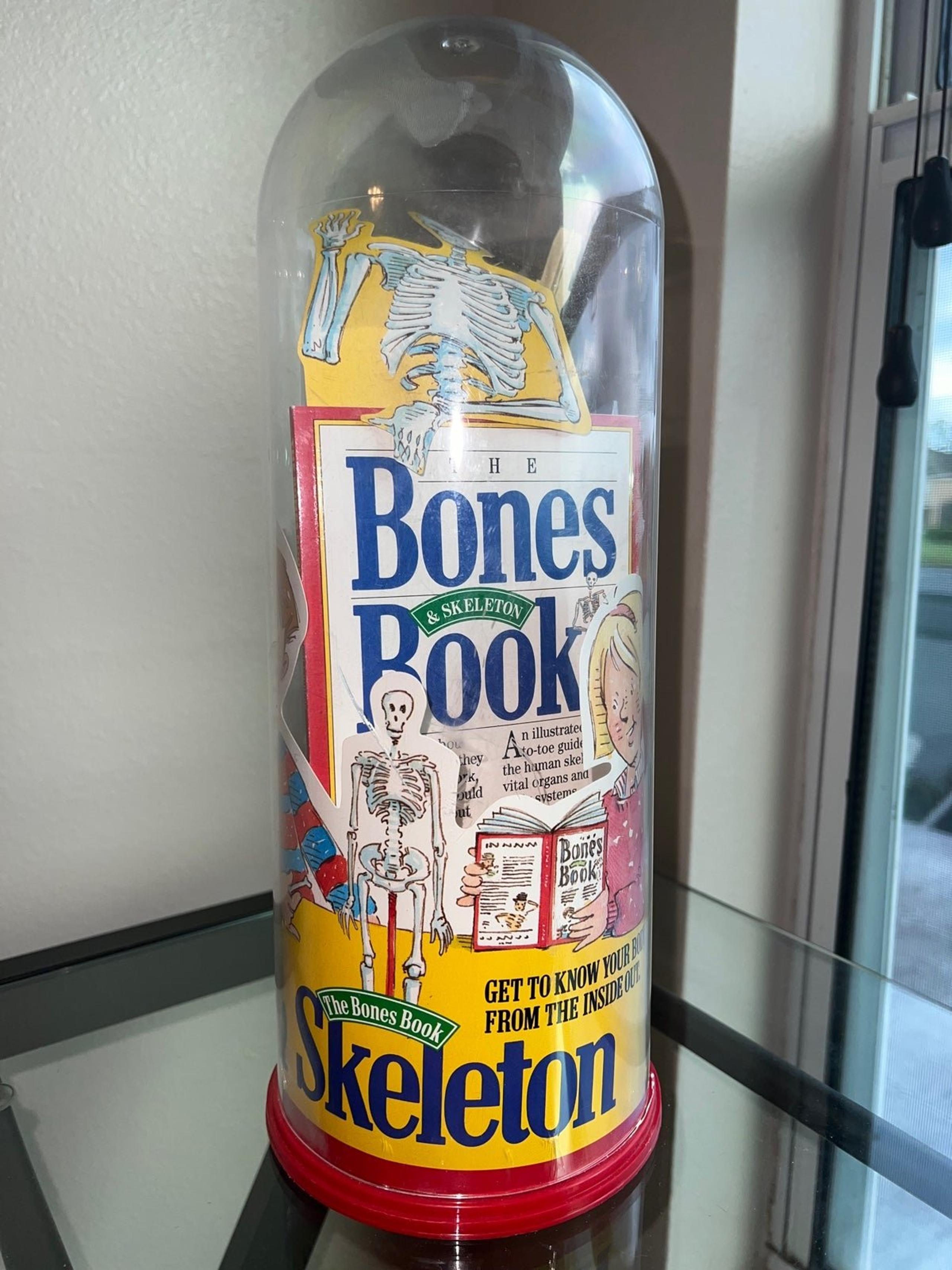 The Bones Book and Skeleton - NWT - Workman Publishing