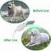 Pet Hair Dryer Pet Hair Dryer Comb Pet Grooming Hair Dryer with Comb Cats & Dog