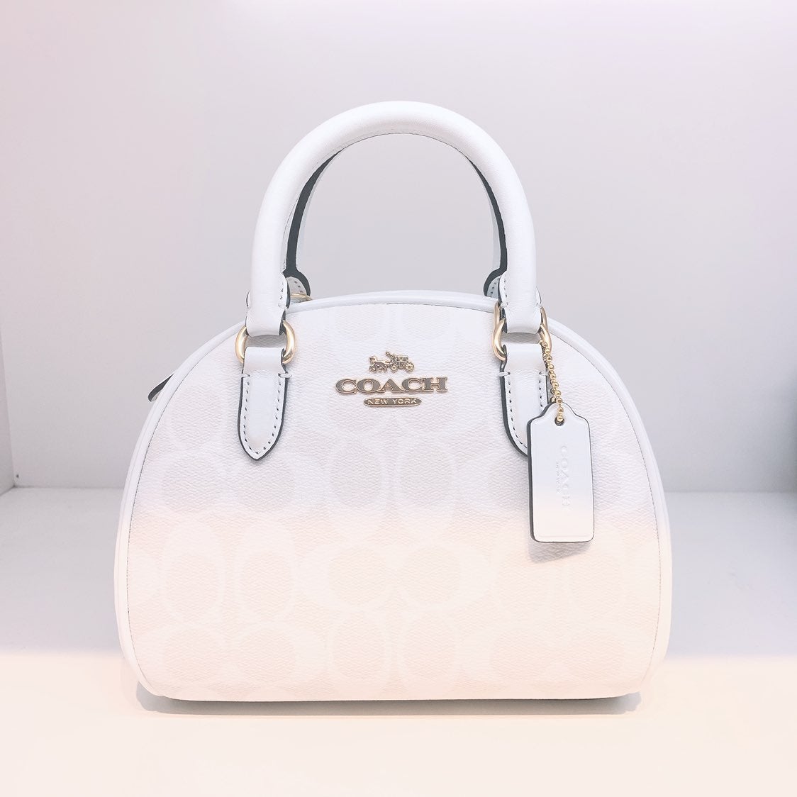 nwt Coach Sydney Satchel In Signature Canvas