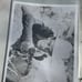 17 vintage pictures in binder