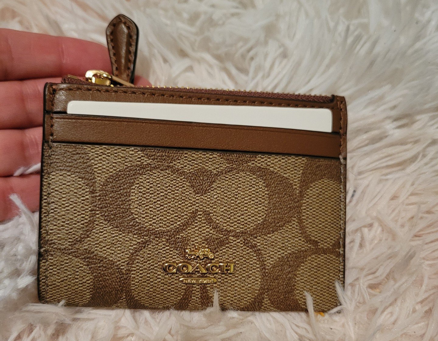 Coach mini skinny id case in signature canvas