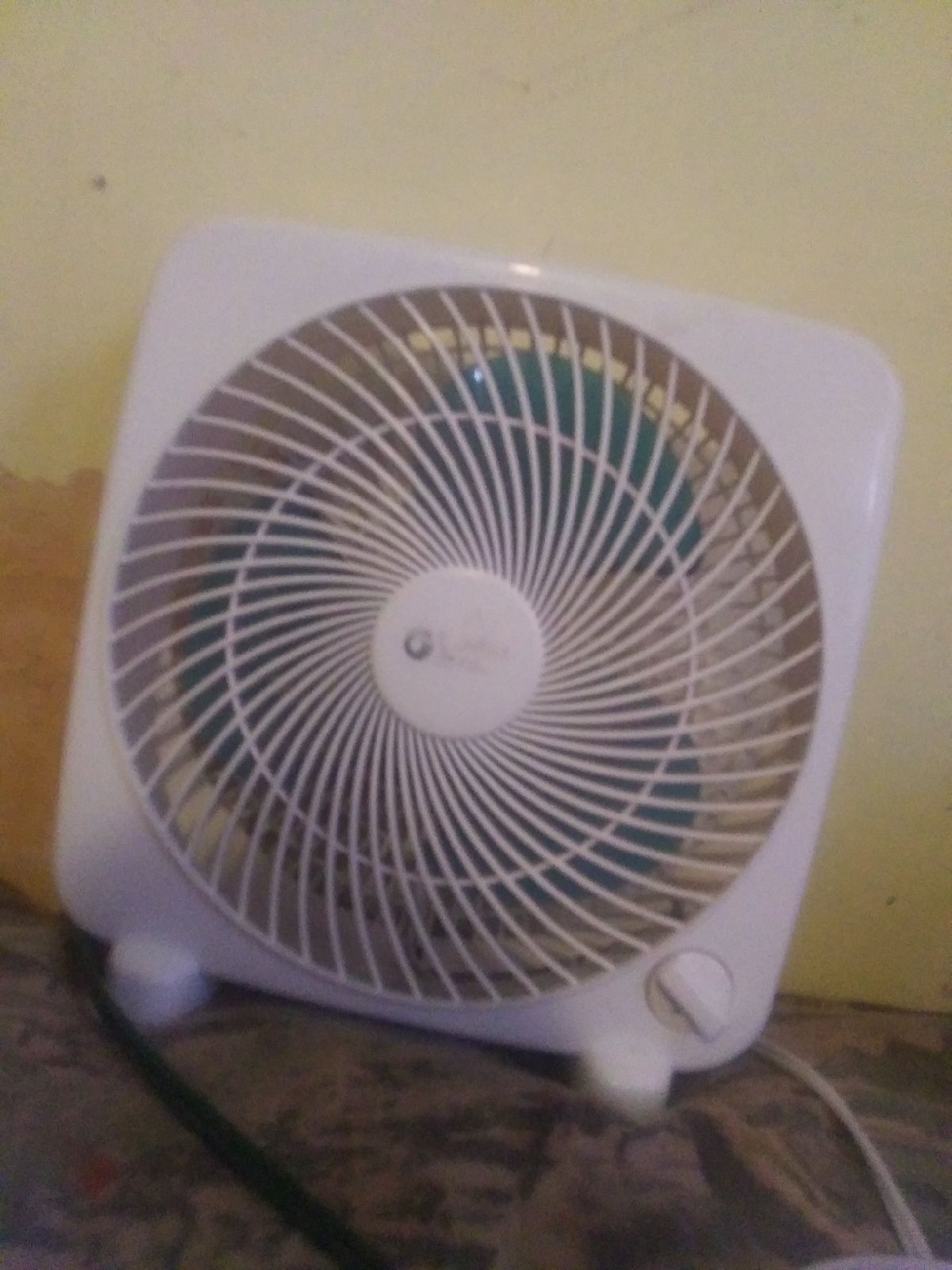 Nice fan