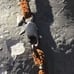 Vintage sterling and turquoise necklace on leather piece with bezel small stone