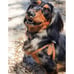 NWOT Buddy Belts Carmel Harness 45 + lbs Dog